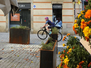 Temps de Flors 2023. Carrer Santa Clara