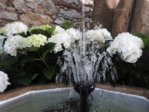 Temps de Flors 2023. Capella de Sant Crist&ograve;fol