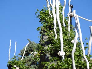 Temps de Flors 2023. Capella de Sant Crist&ograve;fol