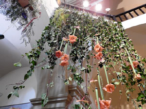 Temps de Flors 2023. Sant Lluc - Castrum dels Manaiesl'esdeveniment