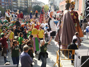 Fires de Sant Narc&iacute;s 2024. XLIII Trobada de Gegants i Bestiari
