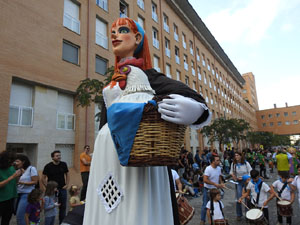 Fires de Sant Narc&iacute;s 2024. XLIII Trobada de Gegants i Bestiari
