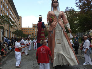 Fires de Sant Narc&iacute;s 2024. XLIII Trobada de Gegants i Bestiari