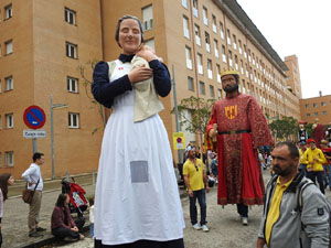 Fires de Sant Narc&iacute;s 2024. XLIII Trobada de Gegants i Bestiari