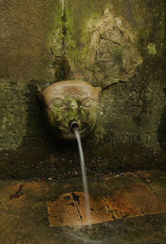 Brollador de la font del Bisbe