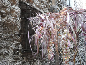 Temps de Flors 2024. Casa Lle&oacute; Avinay