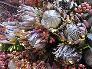 Temps de Flors 2024. Casa Lle&oacute; Avinay