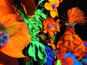 Temps de Flors 2024. Casa Lle&oacute; Avinay