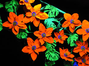 Temps de Flors 2024. Casa Lle&oacute; Avinay
