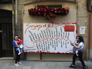 Temps de Flors 2024. Carrer Ballesteries