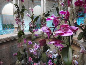 Temps de Flors 2024. Banys &Agrave;rabs