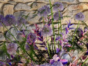 Temps de Flors 2024. Banys &Agrave;rabs