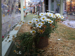 Temps de Flors 2024. Carrer Nou