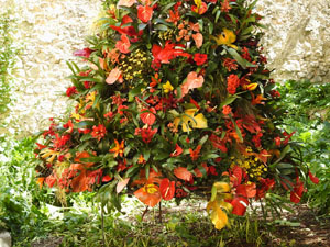 Temps de Flors 2024. Catedral - Passad&iacute;s del  fossat de l'absis