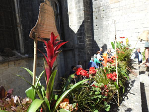 Temps de Flors 2024. Catedral - Passad&iacute;s del  fossat de l'absis