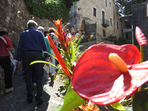 Temps de Flors 2024. Catedral - Passad&iacute;s del  fossat de l'absis