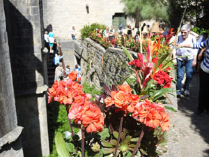 Temps de Flors 2024. Catedral - Passad&iacute;s del  fossat de l'absis