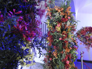 Temps de Flors 2024. Casa Mart&iacute;nez-Davalillos