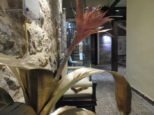Temps de Flors 2024. Edifici Diaz-Tarrag&oacute;