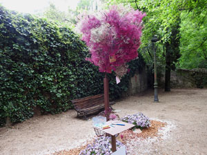 Temps de Flors 2024. Jardins del doctor Figueras