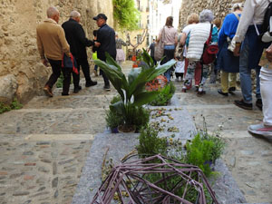Temps de Flors 2024. Escales de la Mare de D&eacute;u de la Pera