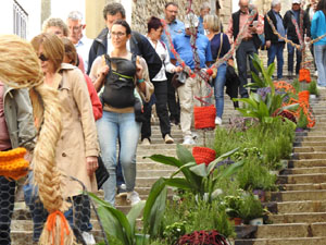 Temps de Flors 2024. Escales de la Mare de D&eacute;u de la Pera
