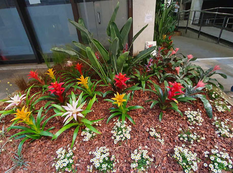 Temps de Flors 2024. Edifici F&ograve;rum (Carrer Albereda)