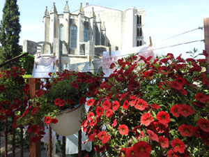 Temps de Flors 2024. Jard&iacute; de la Francesa