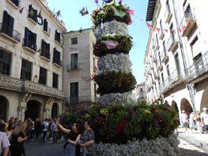Temps de Flors 2024. Pla&ccedil;a del Vi