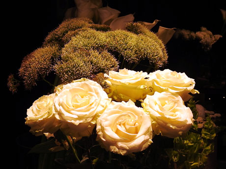 Temps de Flors 2024. Casa Ribas Crehuet