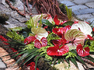 Temps de Flors 2024. Casa Sambola