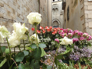 Temps de Flors 2024. Bas&iacute;lica de Sant Feliu