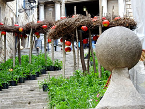 Temps de Flors 2024. Escales de Sant Mart&iacute;
