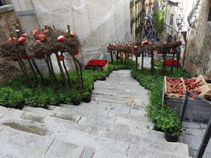 Temps de Flors 2024. Escales de Sant Mart&iacute;