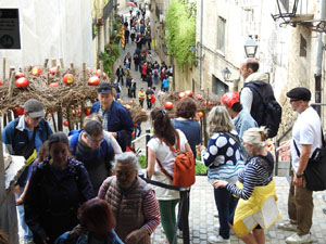 Temps de Flors 2024. Espais diversos