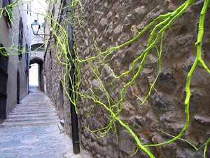 Carrer de Manuel C&uacute;ndaro