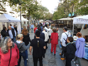 Fires de Sant Narc&iacute;s 2024. Fira-mercat d'alimentaci&oacute;, artesania, dibuix i pintura