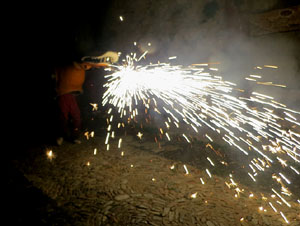 Fires 2025. Drakofarra amb Fal&middot;lera Gironina