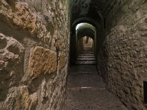 Carrer de Sant Lloren&ccedil;