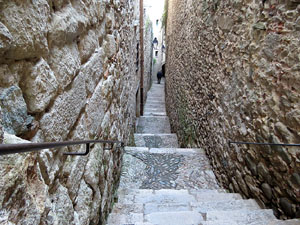 Carrer de Sant Lloren&ccedil;