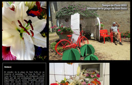 Anar