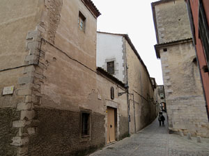 La pujada del rei Mart&iacute;