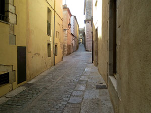 La pujada del rei Mart&iacute;