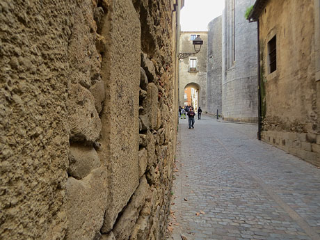 La pujada del rei Mart&iacute;