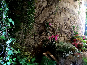 Temps de Flors 2025. Carrer Albereda amb travessia de l'Auriga