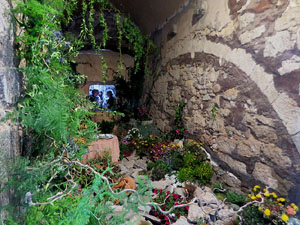 Temps de Flors 2025. Carrer Albereda amb travessia de l'Auriga