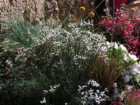 Temps de Flors 2025. Carrer Albereda amb travessia de l'Auriga
