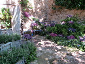 Temps de Flors 2025. Jardins dels Alemanys