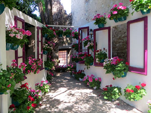 Temps de Flors 2025. Jardins dels Alemanys