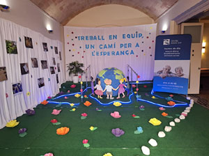 Temps de Flors 2025. Altres instal&middot;lacions